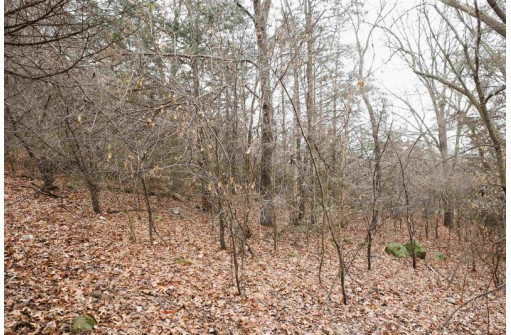 LOT 29 Summit Drive, Pardeeville, WI 53954