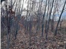 6.12 ACRES Scenic Trail Road, Muscoda, WI 53573