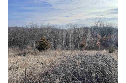 6.12 ACRES Scenic Trail Road, Muscoda, WI 53573