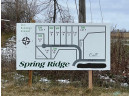 LOT 2 Spring Ridge Court, Lodi, WI 53555