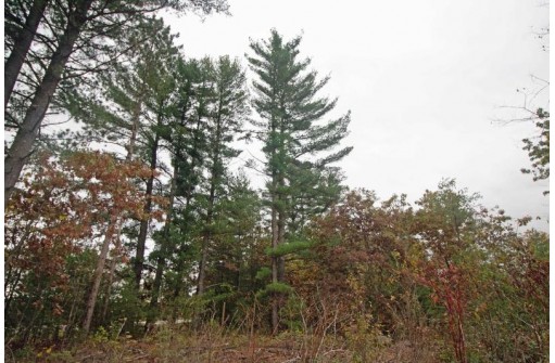 L6 White Pine, Spring Green, WI 53588