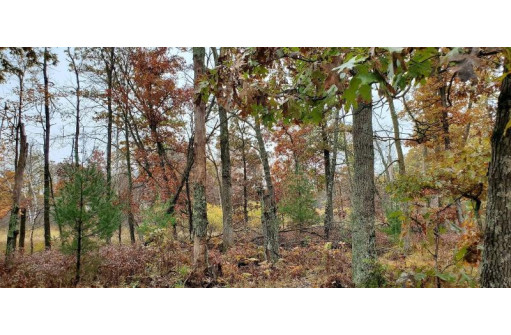 40 AC Cypress Avenue, Friendship, WI 53934