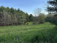 3.20 ACRES Buncombe Road