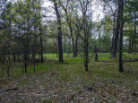 N7168 Timber Ridge Lane Mauston, WI 53948