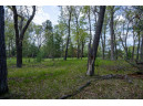 N7168 Timber Ridge Lane, Mauston, WI 53948