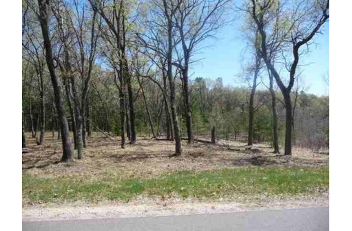 N7168 Timber Ridge Lane, Mauston, WI 53948