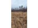 200 ACRES Birch Lane, Nekoosa, WI 54469