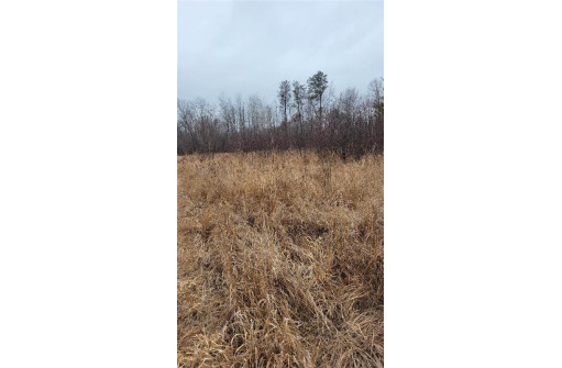 200 ACRES Birch Lane, Nekoosa, WI 54469