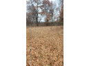 200 ACRES Birch Lane, Nekoosa, WI 54469