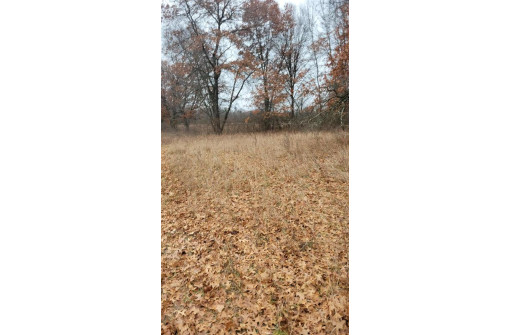 200 ACRES Birch Lane, Nekoosa, WI 54469