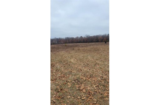 200 ACRES Birch Lane, Nekoosa, WI 54469