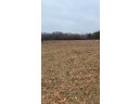 200 ACRES Birch Lane, Nekoosa, WI 54469