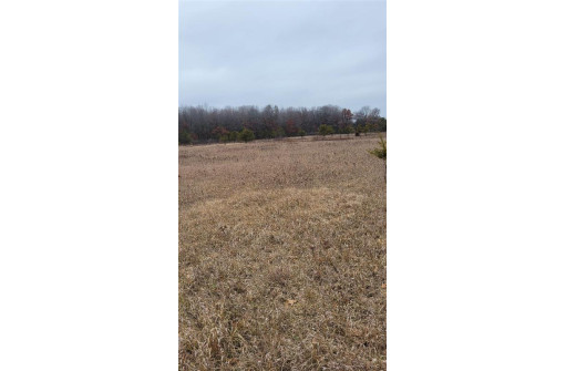 200 ACRES Birch Lane, Nekoosa, WI 54469