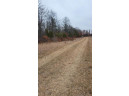 200 ACRES Birch Lane, Nekoosa, WI 54469