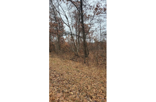 200 ACRES Birch Lane, Nekoosa, WI 54469