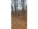 200 ACRES Birch Lane, Nekoosa, WI 54469