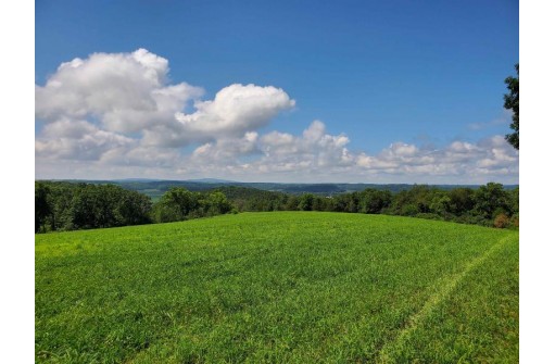 13.88 AC Blackberry Road, Black Earth, WI 53515