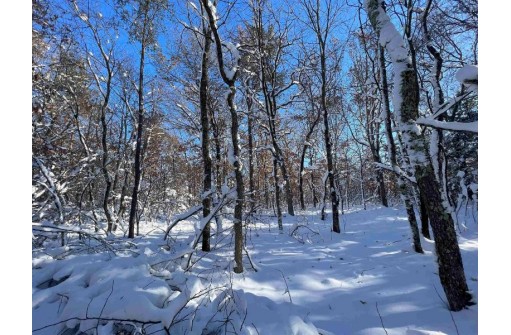 3.68 ACRES County Road J, Friendship, WI 53934