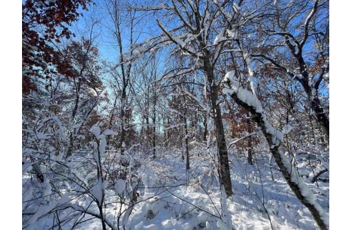 3.68 ACRES County Road J, Friendship, WI 53934