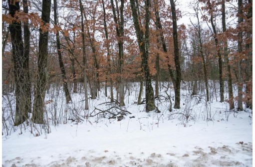 1.80AC Rainbow Lane, Lyndon Station, WI 53944