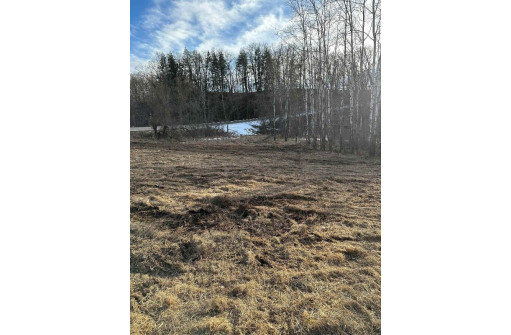 0.90AC E Redstone Drive Road, La Valle, WI 53941