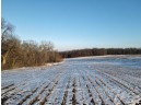 51.82 M/L ACRES Fesenfeld Road, Black Earth, WI 53515