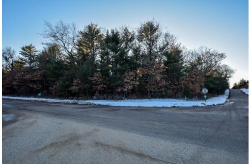 LOT 3 20th Avenue, Arkdale, WI 54613