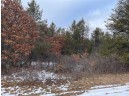 L36 Halls Point Road, Necedah, WI 54646