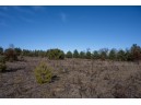 20 ACRES 22nd Avenue, Mauston, WI 53948