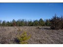 20 ACRES 22nd Avenue, Mauston, WI 53948