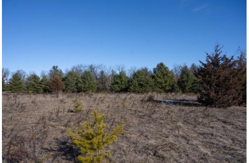 20 ACRES 22nd Avenue, Mauston, WI 53948