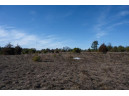 20 ACRES 22nd Avenue, Mauston, WI 53948