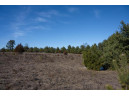 20 ACRES 22nd Avenue, Mauston, WI 53948