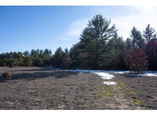 20 ACRES 22nd Avenue Mauston, WI 53948