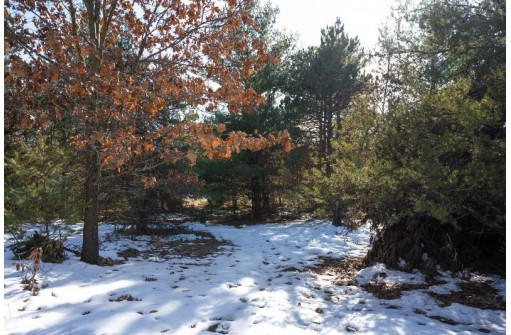 20 ACRES 22nd Avenue, Mauston, WI 53948