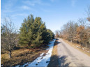 20 ACRES 22nd Avenue, Mauston, WI 53948