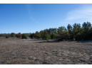 20 ACRES 22nd Avenue, Mauston, WI 53948