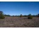 20 ACRES 22nd Avenue, Mauston, WI 53948