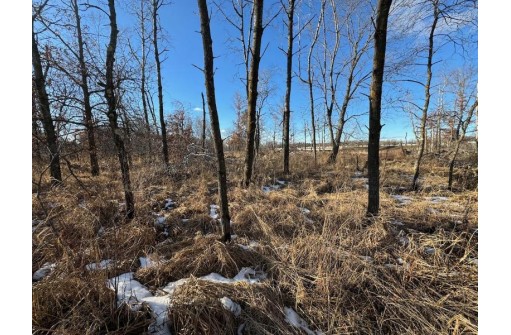 12.28AC Highway 21, Warrens, WI 54666