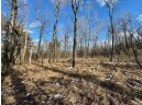 39.88AC Frontier Avenue, Tomah, WI 54660
