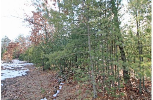 LOT10 Spruce Trail, Spring Green, WI 53588