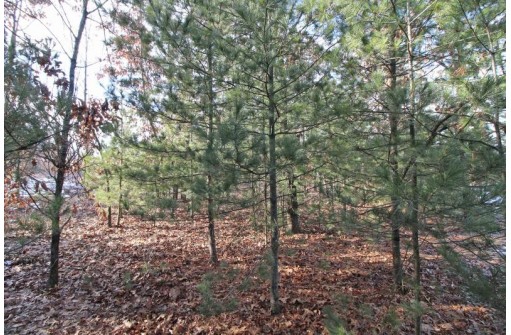 LOT10 Spruce Trail, Spring Green, WI 53588