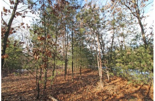 LOT10 Spruce Trail, Spring Green, WI 53588