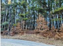 LOT 73 13th Avenue, Wisconsin Dells, WI 53965