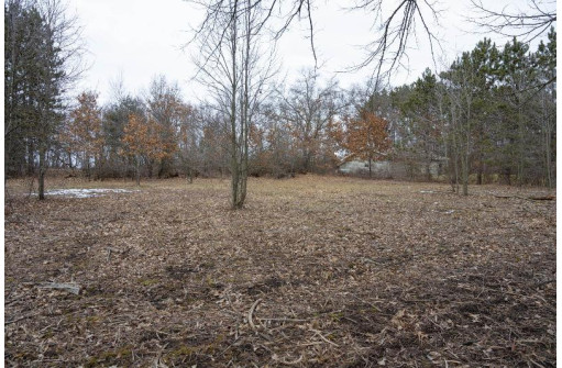 LOT 9 Ember Drive, Adams, WI 53910