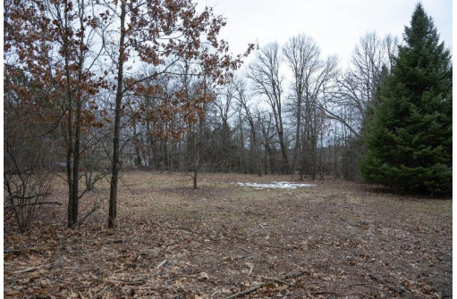 LOT 9 Ember Drive, Adams, WI 53910