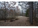 LOT 9 Ember Drive, Adams, WI 53910