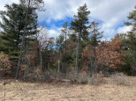 LOT 62 Blackhawk Court Hancock, WI 54943