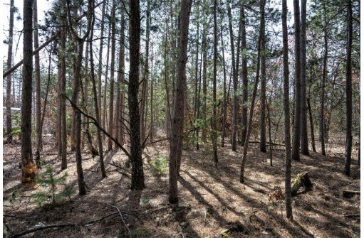 LOT 204 Raven Drive, New Lisbon, WI 53950