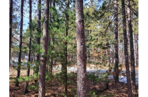 LOT 204 Raven Drive, New Lisbon, WI 53950